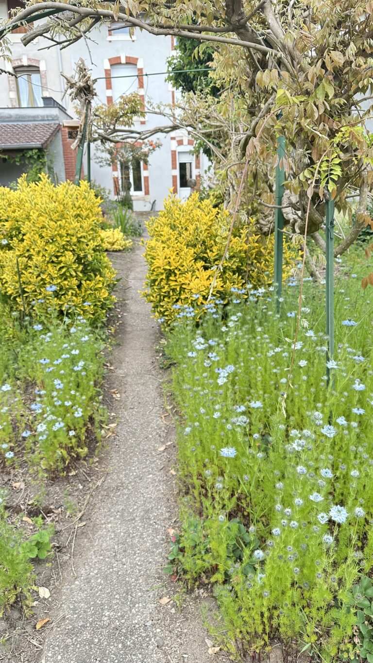 Vue sur le jardin du Gîte Marguerite Blainville